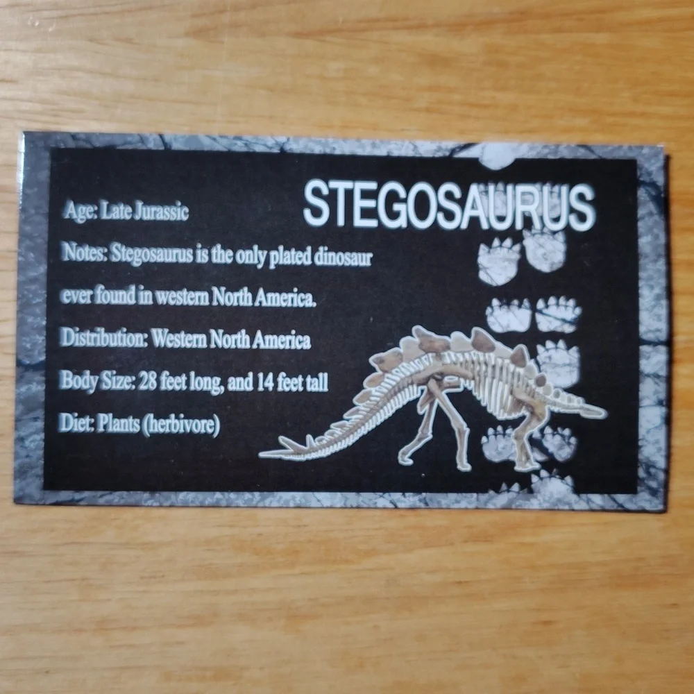 Stegosaurus Reptile Habitat Decor - Black